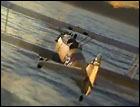 Microsoft Flight